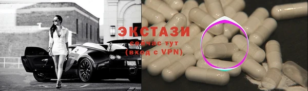 ECSTASY Богданович