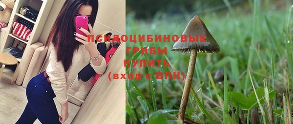 тгк Бронницы