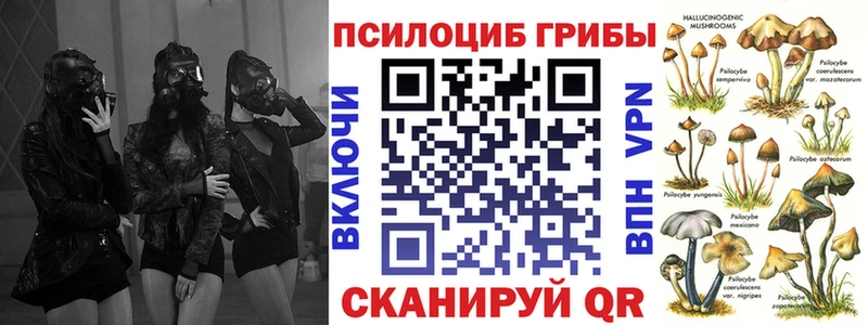 как найти наркотики Горняк Галлюциногенные грибы ЛСД
